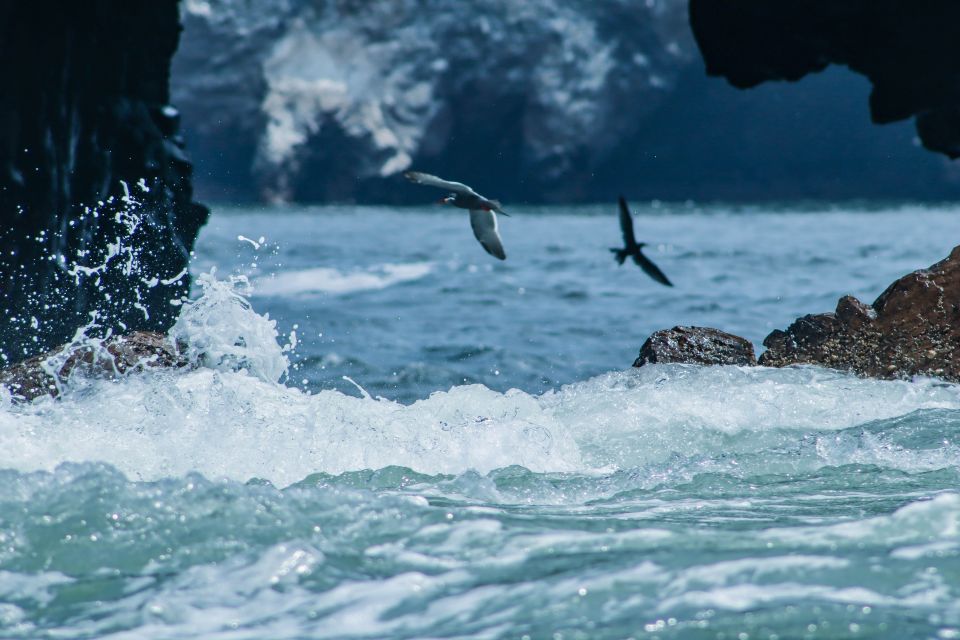 From Lima: Paracas National Reserve Tour & Ballesta Islands - Tour Restrictions