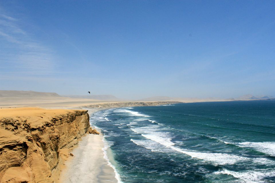 From Lima: Paracas National Reserve Tour & Ballesta Islands - Frequently Asked Questions