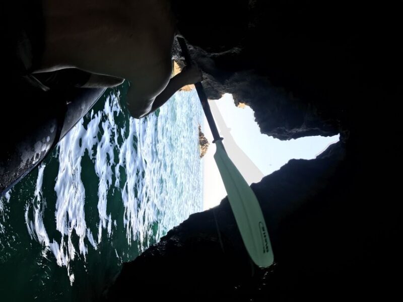 From Lisbon: Arrábida Natural Park Kayak Tour with Lunch - The Beach Picnic