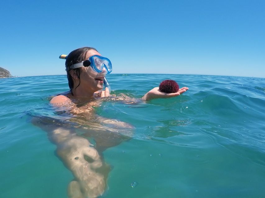 From Lisbon: Arrábida Nature Park Paddleboarding - Key Points