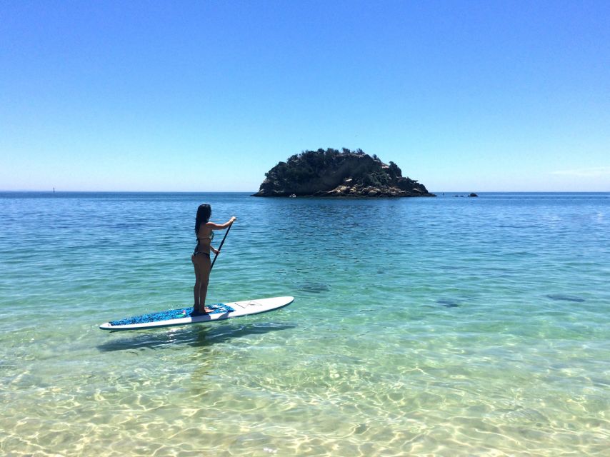 From Lisbon: Arrábida Nature Park Paddleboarding - Pricing and Booking