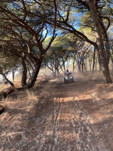 From Lisbon: Atlantic Coast Guided Quad Bike Tour - Detailed Breakdown of the Tour