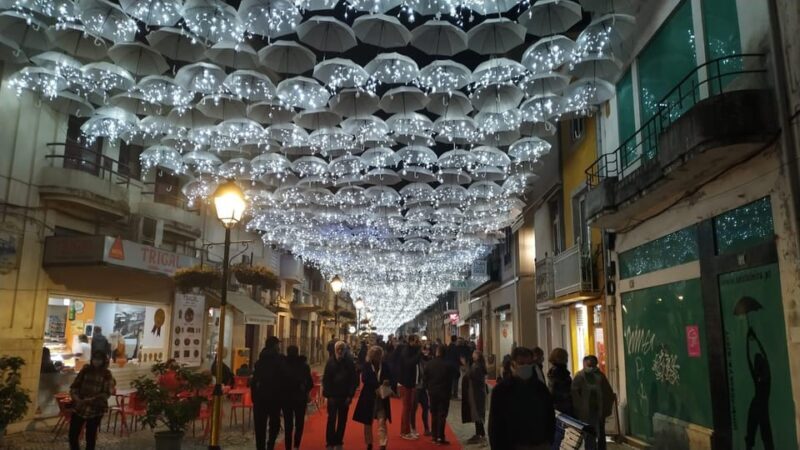 From Lisbon: Aveiro and Coimbra Private Tour - Final Thoughts