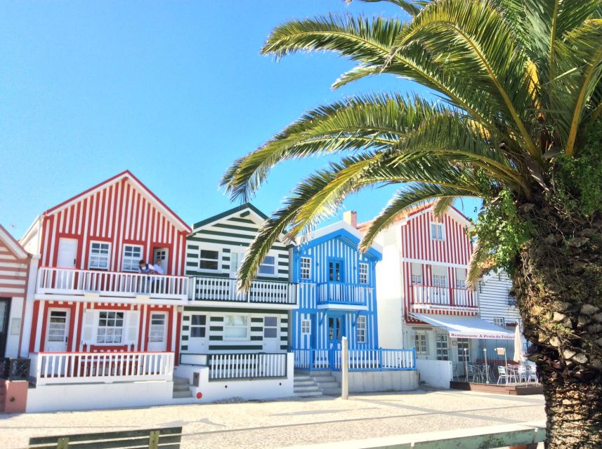 From Lisbon: Aveiro, Moliceiro Boat and Coimbra Tour - Key Points
