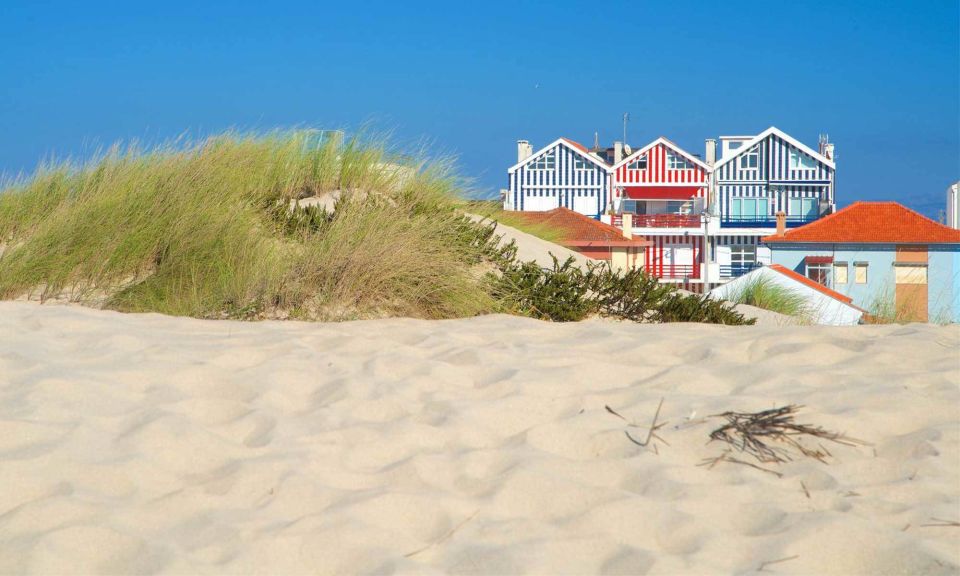From Lisbon: Aveiro, Moliceiro Boat and Coimbra Tour - Moliceiro Boat Trip Experience