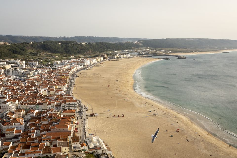 From Lisbon: Day Trip to Porto, Óbidos, and Nazaré - Important Considerations