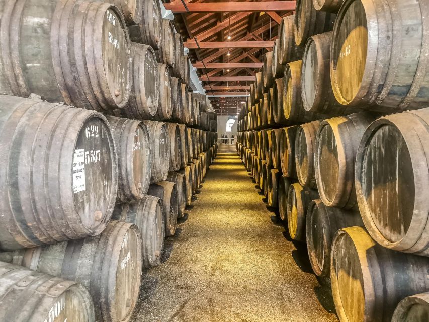 From Lisbon: Discover the Charm of Douro Valley - Key Points