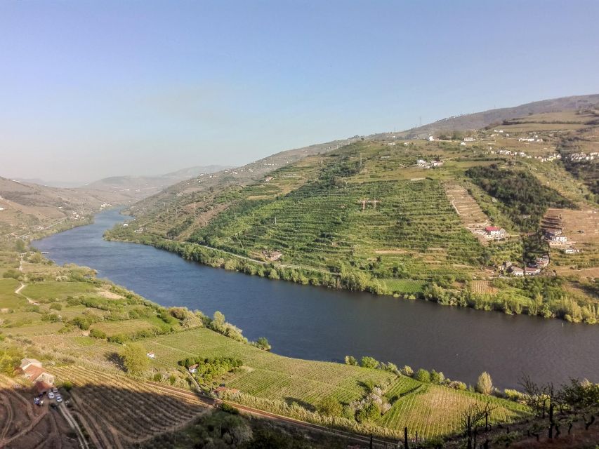 From Lisbon: Discover the Charm of Douro Valley - UNESCO World Heritage Winemaking