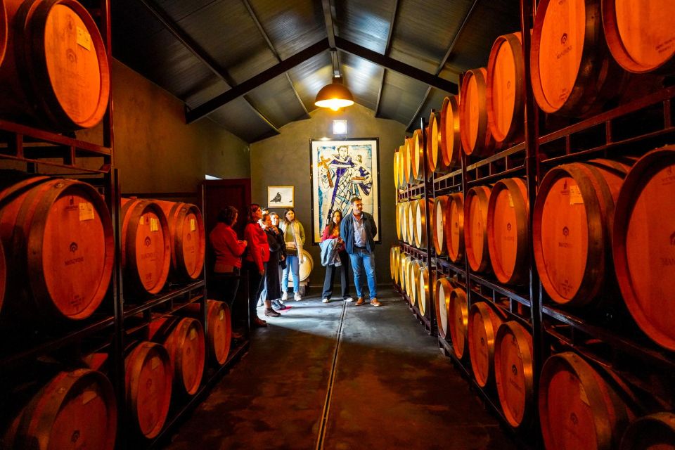 From Lisbon: Discover the Charm of Douro Valley - Significance of Douro Valleys History