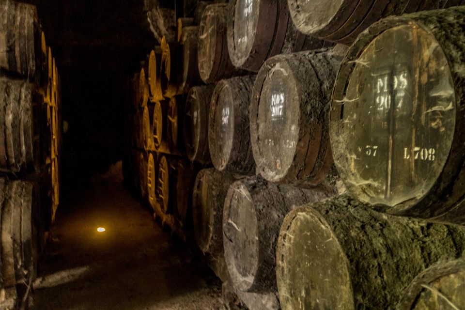 From Lisbon: Discover the Charm of Douro Valley - Highlights of the Tour