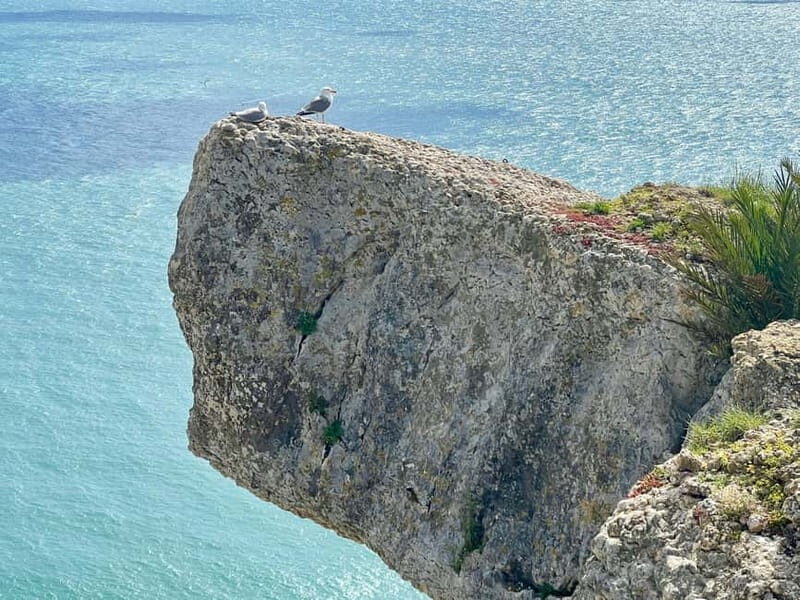 From Lisbon: Fátima, Nazaré & Óbidos Special Van Tour - Who Should Consider This Tour?