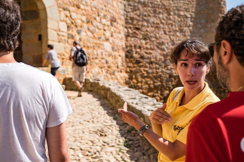 From Lisbon: Knights Templar Day Tour in Tomar - The Experience and the Value