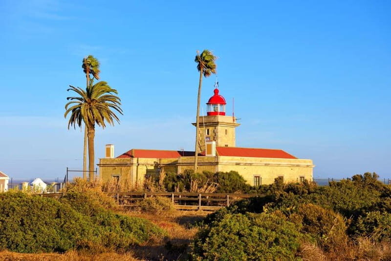 From Lisbon: Lagos & Albufeira Day Tour in the Algarve - Authentic Voices: What Travelers Say