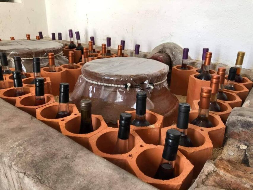 From Lisbon: Palmela Wine Tasting Tour With Snacks - Wine Varieties