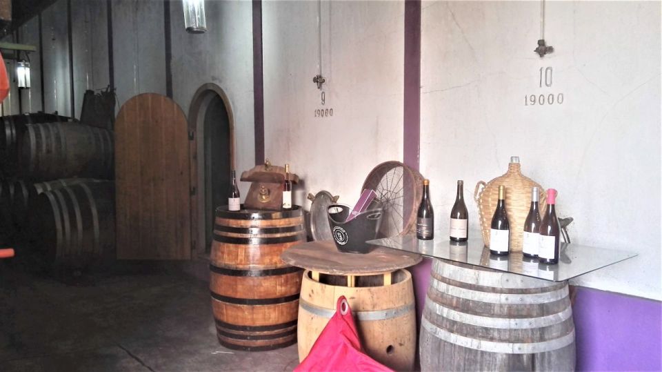 From Lisbon: Palmela Wine Tasting Tour With Snacks - Tasting Experience