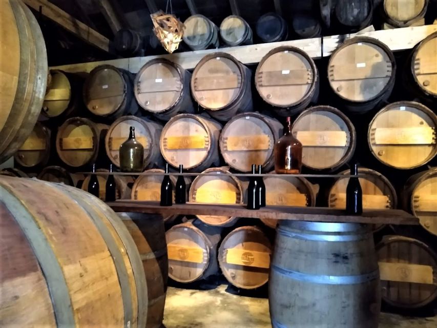 From Lisbon: Palmela Wine Tasting Tour With Snacks - Visit and Shopping