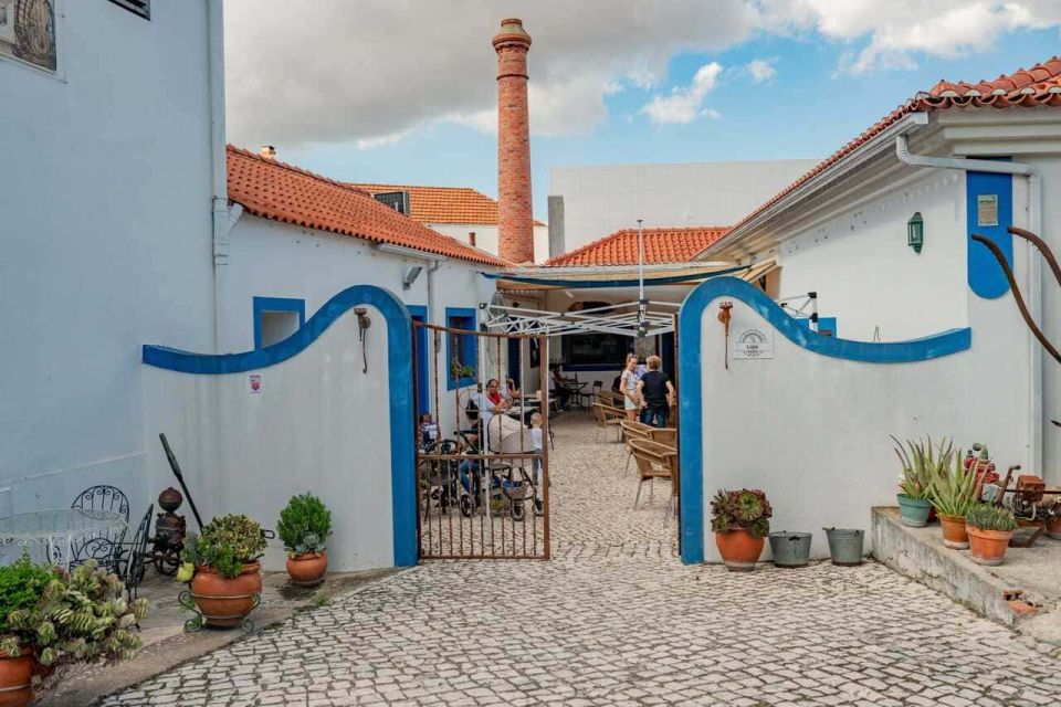 From Lisbon: Palmela Wine Tasting Tour With Snacks - Logistics