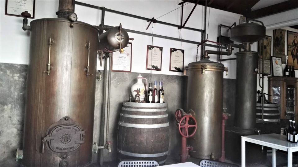 From Lisbon: Palmela Wine Tasting Tour With Snacks - Pickup and Transportation