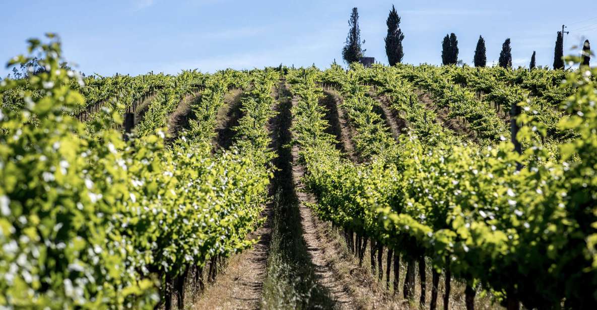 From Lisbon: Palmela Wine Tasting Tour With Snacks - Unique Regional Products