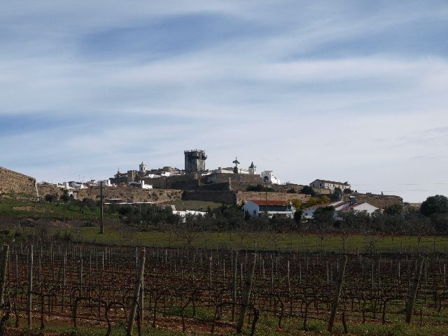 From Lisbon: Private 9-Hour Tour of Évora and Estremoz - Pickup and Transport