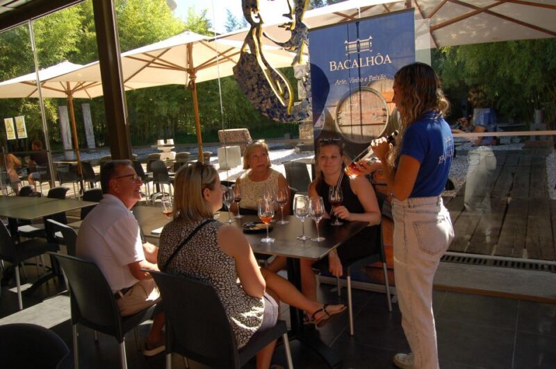From Lisbon: Private Wine Tour with Wine & Cheese Tasting - Starting with comfort and convenience