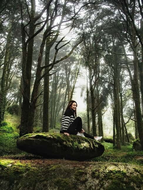 From Lisbon - Regaleira, Cabo da Roca, Forest & True Sintra - FAQs