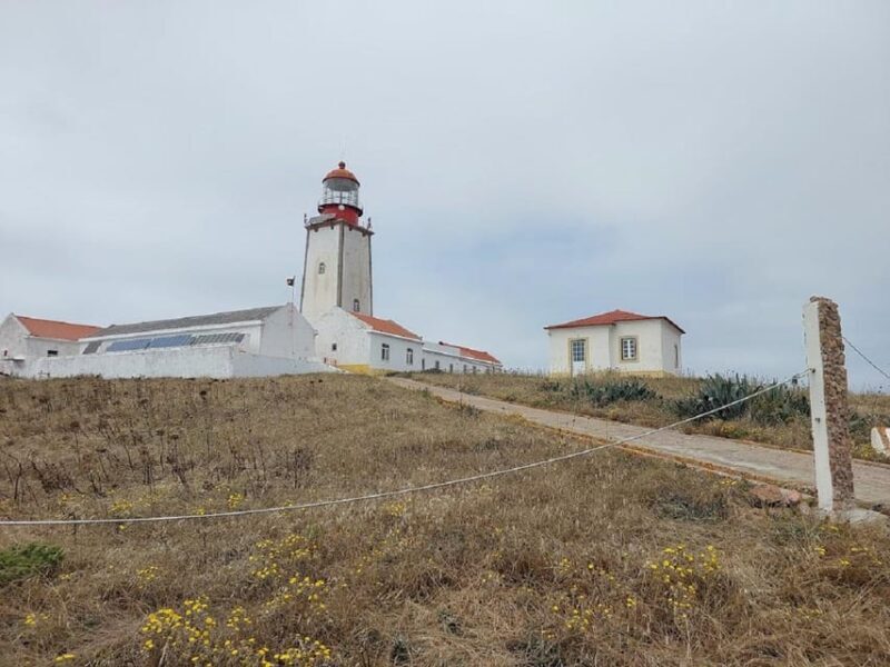 From Lisbon : Round trip to Peniche, Berlengas. - Who Should Consider This Tour?