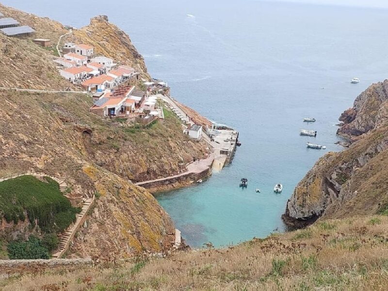 From Lisbon : Round trip to Peniche, Berlengas. - The Sum Up: Is It Right for You?