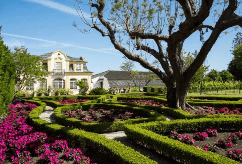 From Lisbon: Serra da Arrábida and Setúbal Wines - Authentic Experiences and Real Traveler Insights