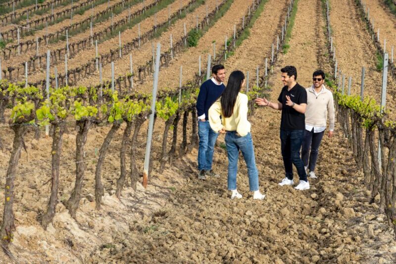 From Lisbon: Sintra & Pena Palace Day Trip with Wine Tasting - An In-Depth Look at the Experience