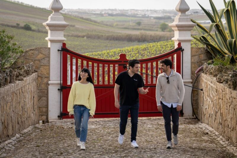 From Lisbon: Sintra & Pena Palace Day Trip with Wine Tasting - FAQs