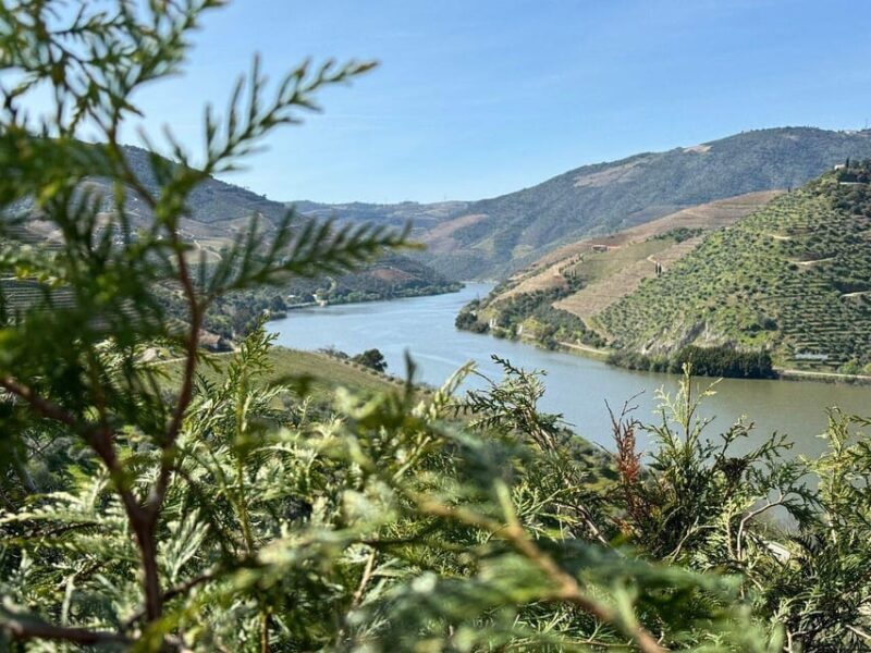 From Lisbon to Douro Valley with Stops up to 3 Cities - Key Points
