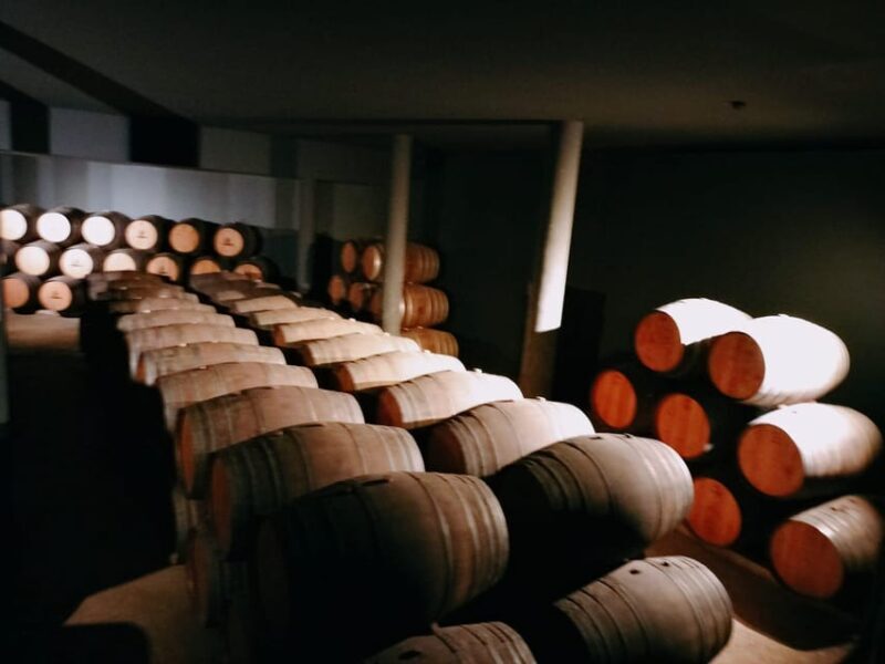 From Lisbon to Douro Valley with Stops up to 3 Cities - An In-Depth Look at the Tour Experience