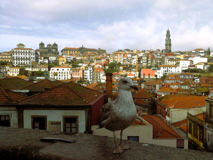 From Lisbon to Porto With 2 Stop in the Way Private Tour - Reviews