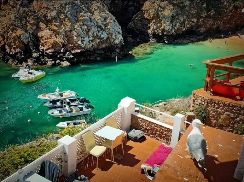 From Lisbon: Tour to Berlengas, a UNESCO natural reserve - The Value of the Experience