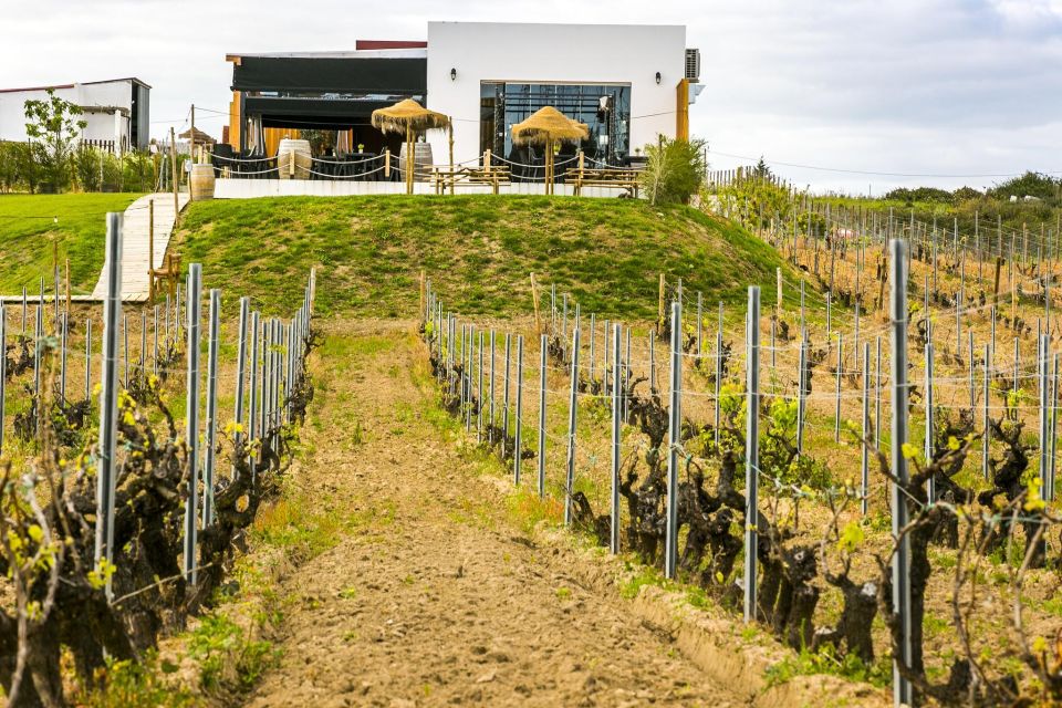 From Lisbon: Wine Tasting Tour and Traditional Tile Factory - Pickup Locations