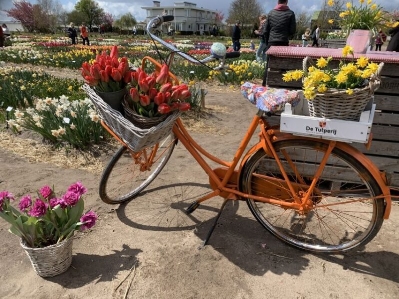 From Lisse: Keukenhof Flower Fields Bike Tour - Frequently Asked Questions