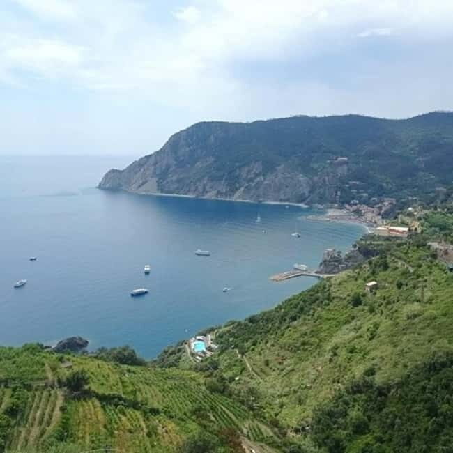From Livorno: Accessible Cinque Terre and Pisa Private Trip - A Practical Guide to the Livorno Private Trip: What You Can Expect