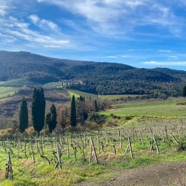 From Livorno: San Gimignano and Volterra Day Trip - Who Will Appreciate This Experience?
