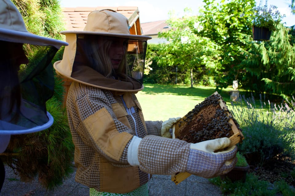 From Ljubljana: All About Bees - Final Thoughts