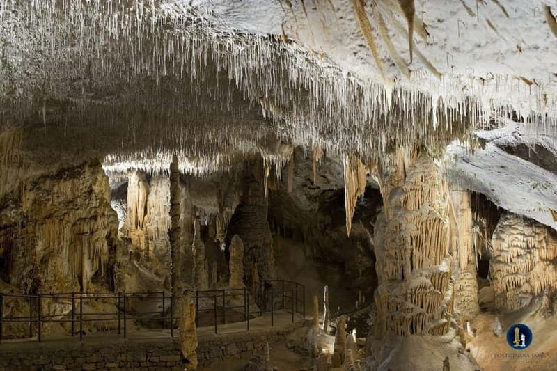 From Ljubljana: Postojna Cave, Predjama Castle, & Piran Tour - The Cost and What Youll Get