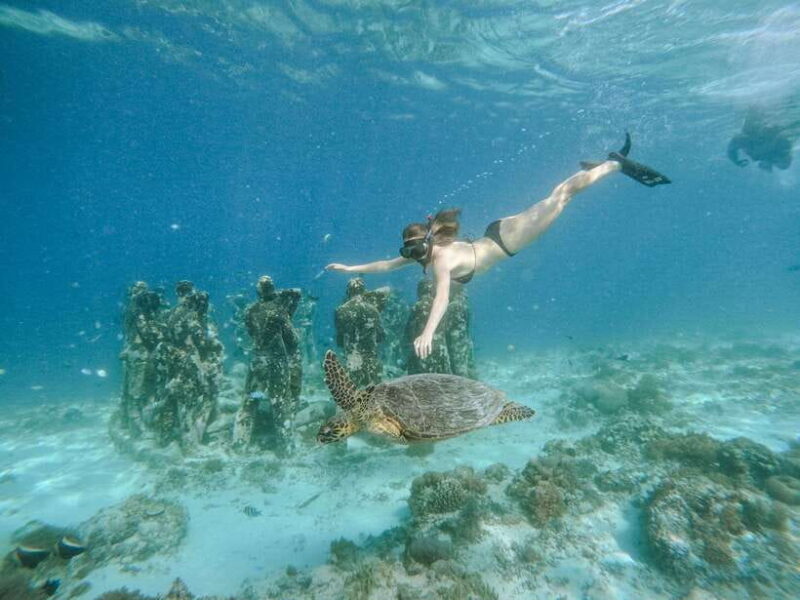 From Lombok: 3 Gili Islands Private Snorkeling Adventure - Key Points