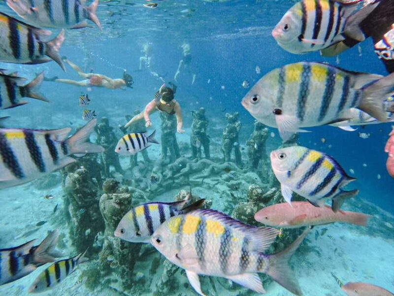 From Lombok: 3 Gili Islands Private Snorkeling Adventure - An in-Depth Look at the Tour Experience
