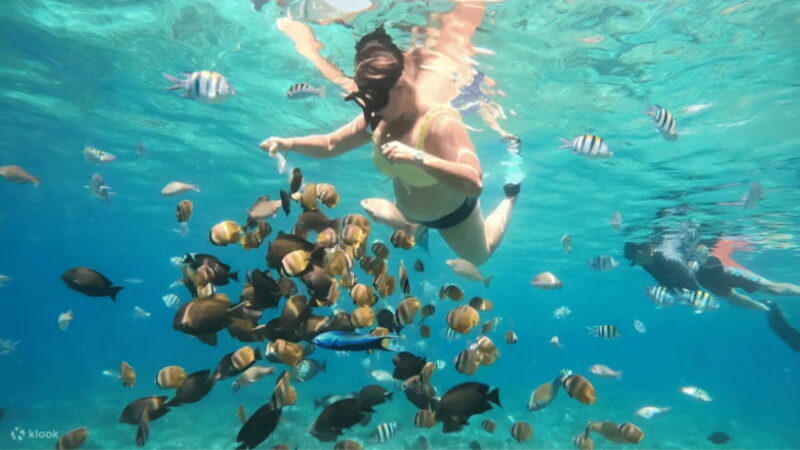 From Lombok: A Day Tour To Gili Nangu, Sudak, Kedis - Who Will Appreciate This Tour