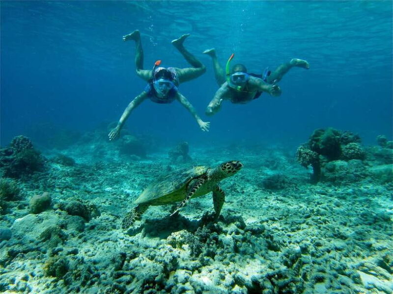 From Lombok: Gili Islands Snorkeling Day Trip - Journey Through the Gili Islands: What to Expect