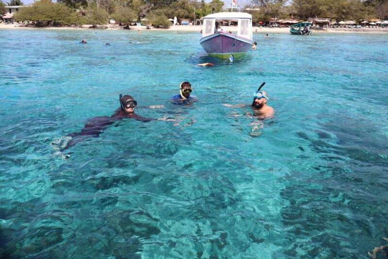 From Lombok: Gili Islands Snorkeling Day Trip - Who Will Love This Trip?