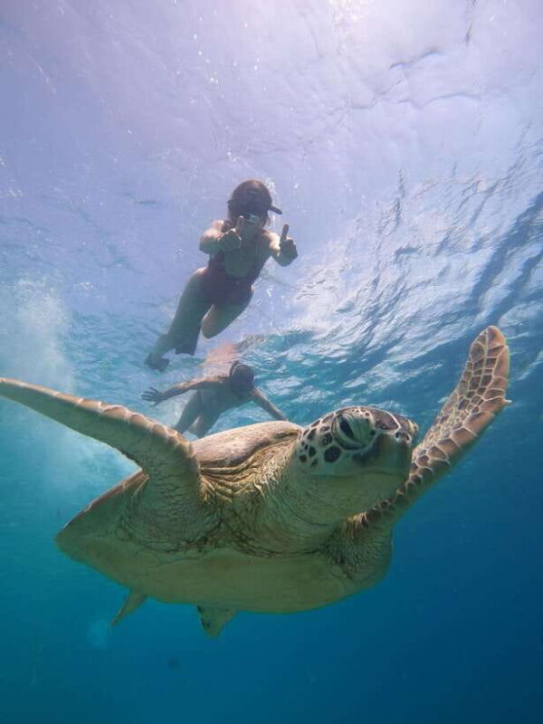 From Lombok: Gili Islands Snorkeling Day Trip - Frequently Asked Questions