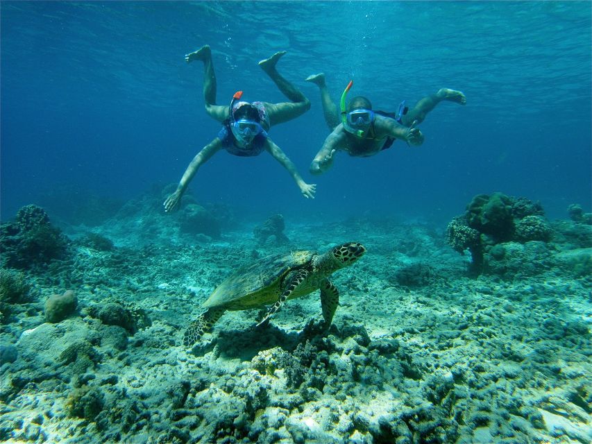 From Lombok: Gili Islands Snorkeling Day Trip - Island Exploration