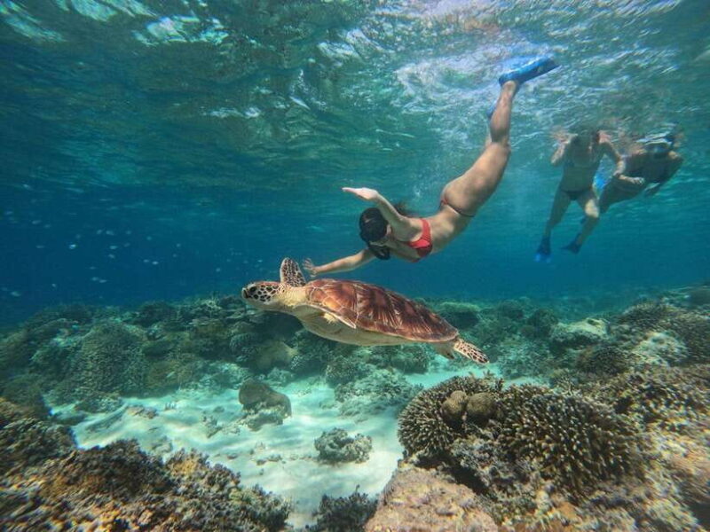 From Lombok: Private Snorkeling Trip include GOPRO shoot - Key Points