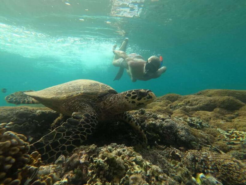 From Lombok: Private Snorkeling Trip include GOPRO shoot - The Itinerary: What to Expect on Your Day Out